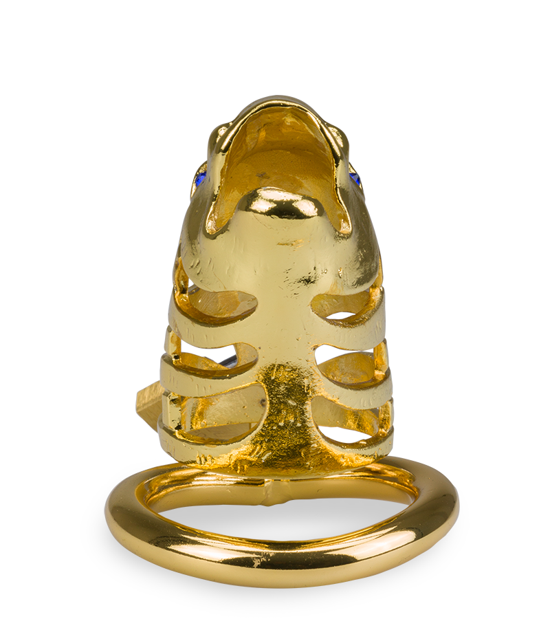 Cage à pénis astrologie chinoise Dragon Doré