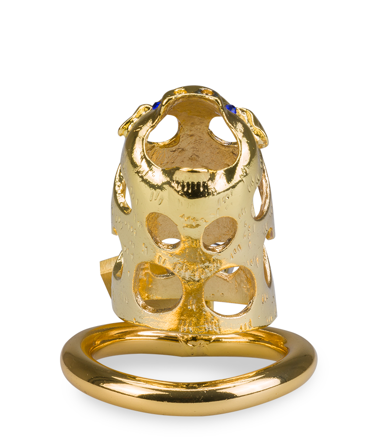 Cage de chasteté pénis astrologie chinoise Cochon Doré
