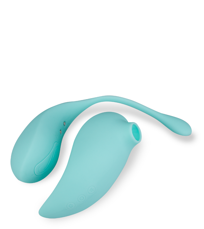 Oeuf vibrant avec télécommande aspire clitoris Namasté
